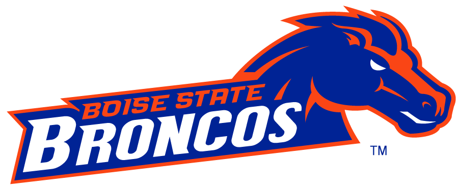 Boise State Broncos 2002-2012 Secondary Logo v28 iron on transfers for T-shirts